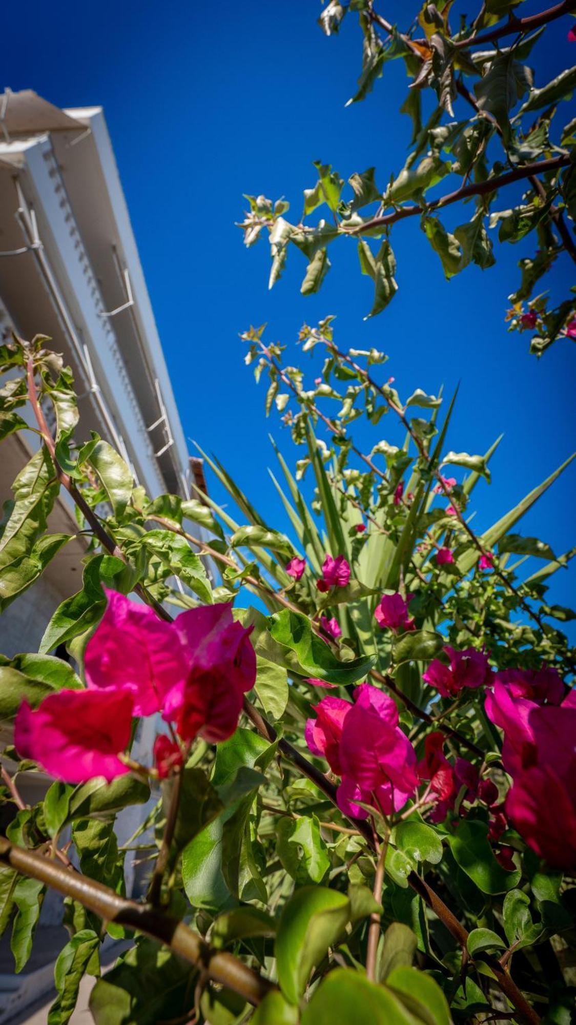 Ferienwohnung Get Comfy Sarandë Exterior foto